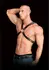 Adonis High Halter Harness - Adjustable Bonded Leather Chest System