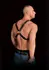Adonis High Halter Harness - Adjustable Bonded Leather Chest System
