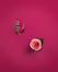 Satisfyer Powerball Vibrating Egg Remote Control Strawberry Red