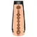 Doc Johnson Main Squeeze Leo ULTRASKYN Intimate Device Hard Case
