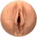 Doc Johnson Main Squeeze Vicky Vette ULTRASKYN Anatomical Stroker Case