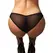 Obsessive Donarella Briefs XS/S Black Embroidered Transparent Soft Fit