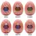 Tenga Egg HB Package II - Set of 6 Flexible Intimate Devices