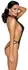 Cottelli PARTY Body S/M Black Matt Look with Collar & Decorative Bands