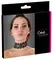 Cottelli Collection Black Choker Embroidered with Pearls & Rhinestones 36cm