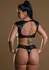 Daring Intimates Wetlook Bra Set Black Lace 2-Piece Lingerie Ensemble