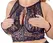Cottelli Collection Lace Bra Set with Removable Restraints 85D/L
