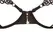 Cottelli Collection Minimalistic Bra Set with Embroidered Details XL