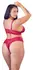 Cottelli Collection Red Lace Lingerie Set 4XL - Wireless, Adjustable Fit