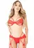 Daring Intimates Unlined Bra Set with Garter, Lace, Adjustable Straps