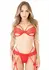 Daring Intimates Unlined Bra Set with Garter, Lace, Adjustable Straps