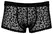 Noir Handmade M.Pants Leo 2XL - Transparent Powernet, Leopard Print