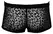 Noir Handmade M.Pants Leo 2XL - Transparent Powernet, Leopard Print