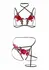 Roses Bra and Crotchless Panty Set - Floral Lace, Adjustable Straps