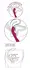 Sweet Smile Dual-Head Vibrator 7 Modes Silicone 23.5cm Pink
