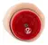 You2Toys Pasha Vibrating Intimate Device, Adjustable 23cm, Skin-Tone