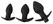 Black Velvets Anal Training Silicone Plug Set with 10-Mode Vibrating System