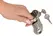 Fetish Collection Chastity Cage II Stainless Steel Short Lockable System