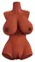 PDX Plus Perfect 10 Torso Brown Anatomical Intimate Machine 44.5 cm