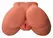 PDX Plus Intimate Torso Tan - Dual-Entry Anatomical Model, 2.2 kg