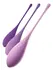 Fetish Fantasy FFH Kegel Train-Her Set Silicone Pelvic Training Balls 3pcs