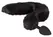Bad Kitty Pet Play Set - Intimate Tail Plug & Cat Ears Headband, Black