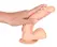 You2Toys European Lover Medium Flexible Model with Suction Cup 20cm
