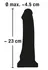 You2Toys European Lover 23 cm Anatomical Model with Suction Cup, PVC