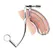 Blueline Restraint System with Integrated Dual Stimulation - Black, Adjustable