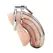 Blueline Prisoner Stainless Steel Chastity Device with Lock System