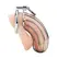 Blueline Prisoner Stainless Steel Chastity Device with Lock System