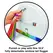 The Cowgirl Unicorn Premium Intimate Machine with Rainbow Tail, 2 Attachments