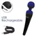 PalmPower Recharge Wand Massager Blue - Cordless Waterproof Model