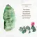 La Gemmes Jade Lay-On Vibrating Massager - Green, 15 cm, Gemstone & Metal
