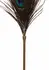 TABOOM Dona Peacock Tickler Rose Gold Ultra-Soft Feather Accessory