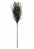 TABOOM Dona Peacock Tickler Rose Gold Ultra-Soft Feather Accessory