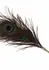 TABOOM Dona Peacock Tickler Rose Gold Ultra-Soft Feather Accessory
