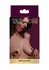 TABOOM Nipple Enlargers Set with 8 Adjustable Rings - Transparent