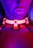 TABOOM Glow In The Dark Open Cup Bra Harness Adjustable Neon