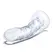 Glas Curved Glass Model with Vein Details 18cm - Transparent, Anatomical Shape