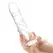 Glas Curved Glass Model with Vein Details 18cm - Transparent, Anatomical Shape