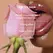 Bijoux Indiscrets Slow Sex Oral Pleasure Balm Coconut 10ml