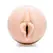 Fleshlight Girls Vina Sky Exotica Intimate Texture System Transparent