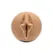 Fleshlight Girls Autumn Falls Cream Intimate Machine Textured Canal