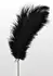 TABOOM Feather Tickler Elegant Nickel-Free Handle Black Feathers
