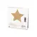 Bijoux Indiscrets Flash Star Gold - Reusable Shimmering Body Decals