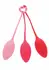 Pelvic Floor Exercise Trainer Set - Weighted Kegel System, 8713221823267