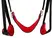 Bad Kitty Door Swing BK-11 - Adjustable Luxury Door System, Black/Red