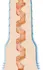 Fleshlight Fantasy Lexi Amakura Intimate Sleeve Anime Edition 25cm