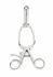 Barr Rectal Speculum Large Stainless Steel Adjustable Instrument